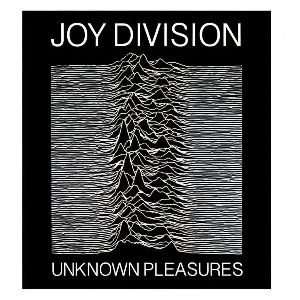 Joy Division Kids T-Shirt - Unknown Pleasures
