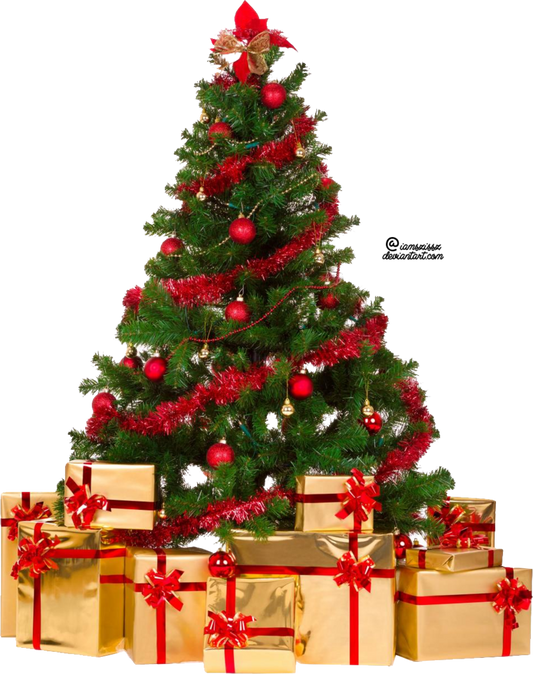 Christmas Deliveries - Last Postage Date is December 21st