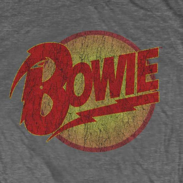 David Bowie Kids Charcoal T-Shirt - Diamond Dogs Logo